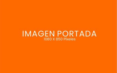 Entrada 5